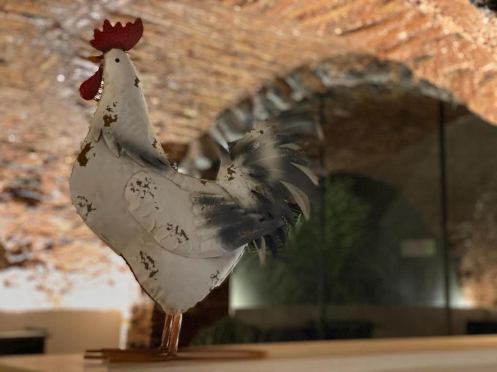 Suite Gallo 卡塔尼亚 外观 照片